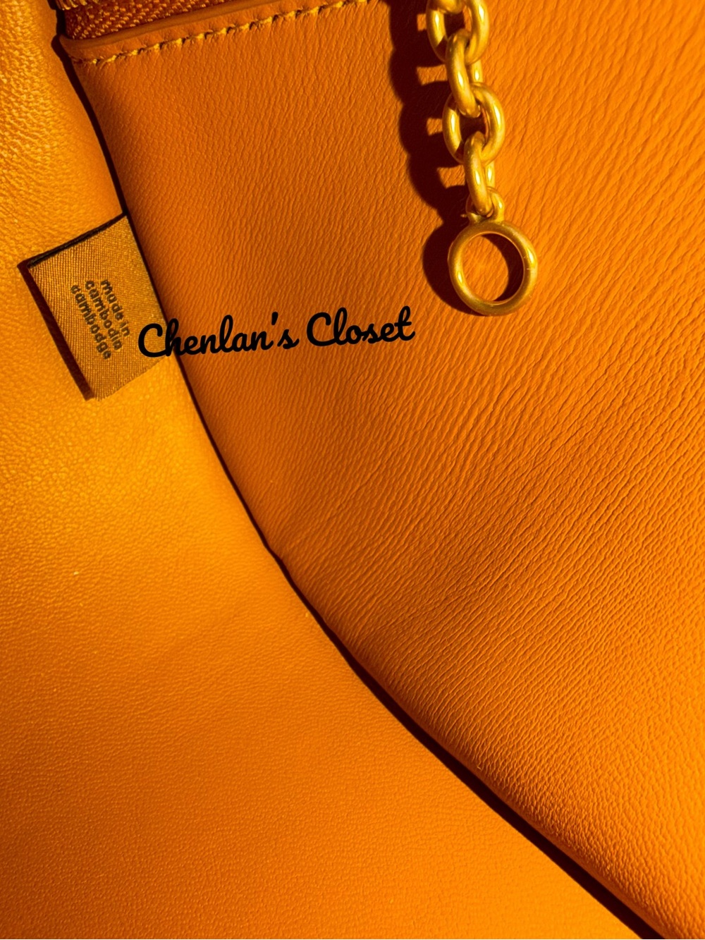 Coach Cashin Carry Crescent Bag NeW - Picture 12 of 15